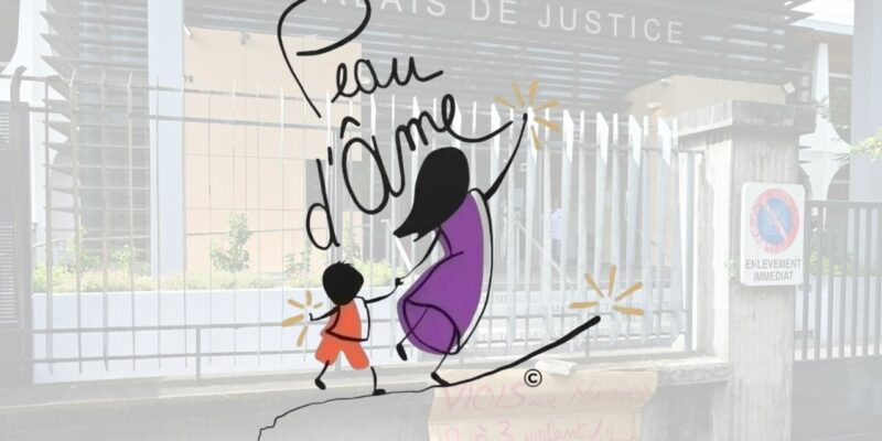 peau d'ame violence intrafamiliale inceste viol tribunal justice
